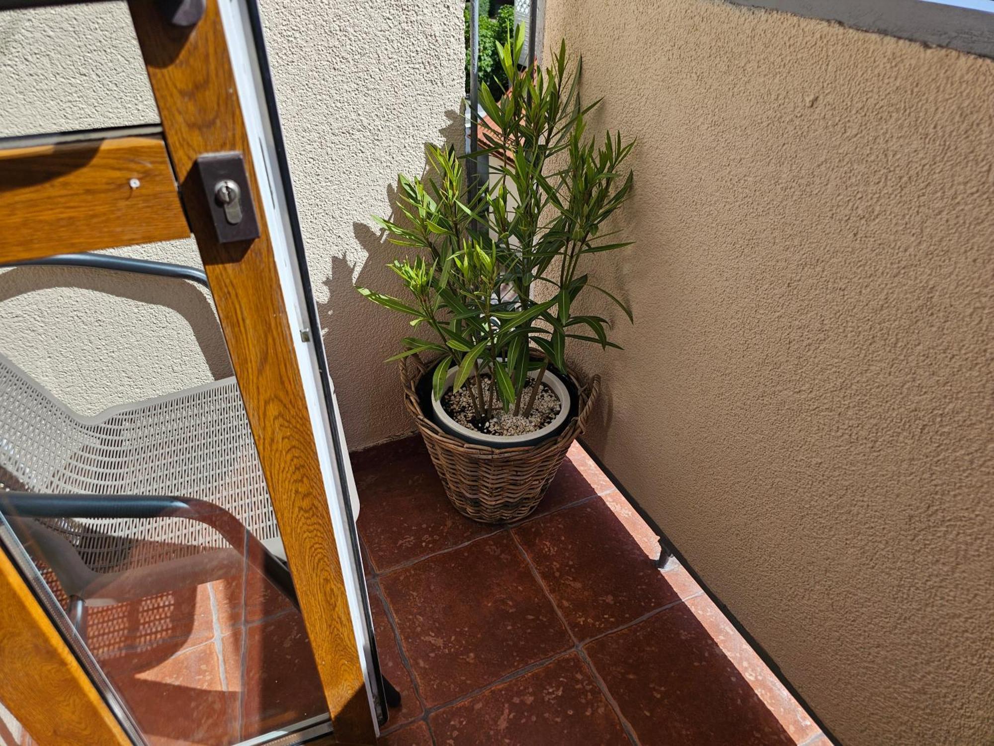 Apartamenty Luna A-B グリフィツェ エクステリア 写真